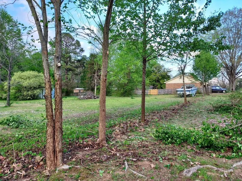 Trusted outdoor landscaping for year-round maintenance in Conway, AR by Grass Monkey landscaping