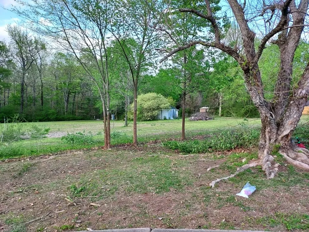 Local landscape installation experts serving Conway, AR - Grass Monkey landscaping