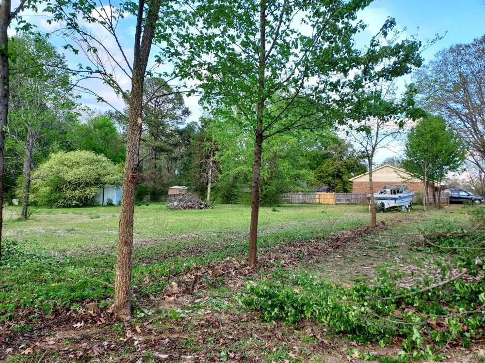 Affordable landscape installation for outdoor upgrades across Conway, AR - Grass Monkey landscaping