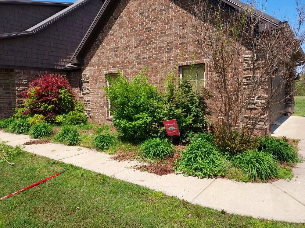 Reliable lawn care service in Conway, AR - Grass Monkey landscaping