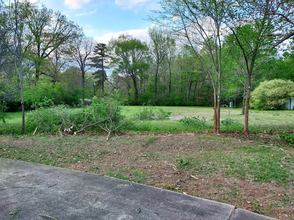 Expert outdoor landscaping in Conway, AR by Grass Monkey landscaping