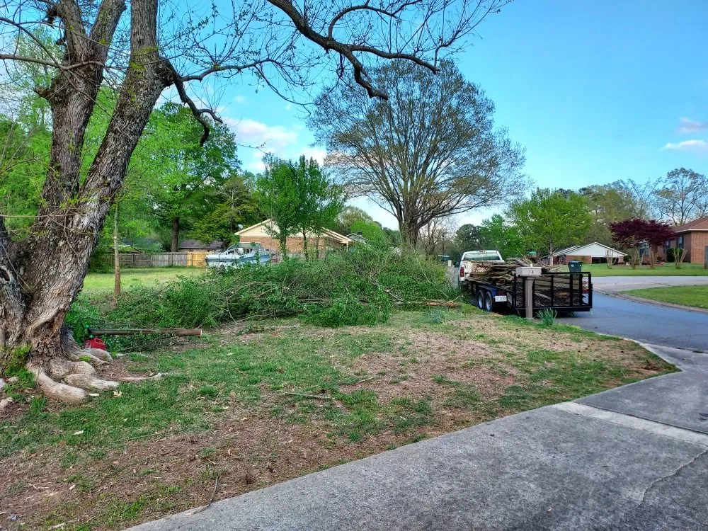 Trusted yard cleanup service in Conway, AR by Grass Monkey landscaping