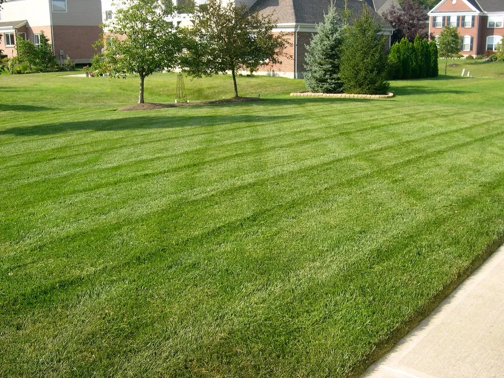 Affordable lawn mowing service for residential properties in Dayton, OH by Grass Monkey Lawn & Landscaping