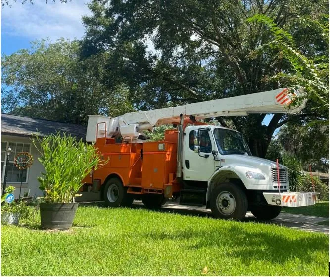 Top-rated residential landscaping for outdoor upgrades across Altamonte Springs, FL - Grass Monkey Lawn And Tree Services