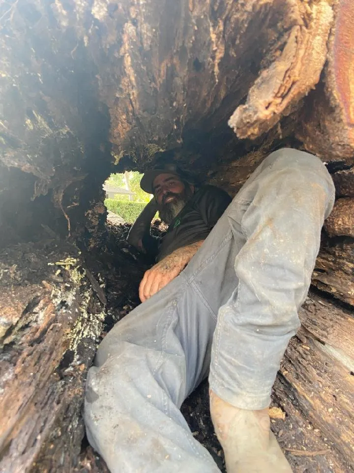 Top-rated landscape installation in Altamonte Springs, FL by Grass Monkey Lawn And Tree Services