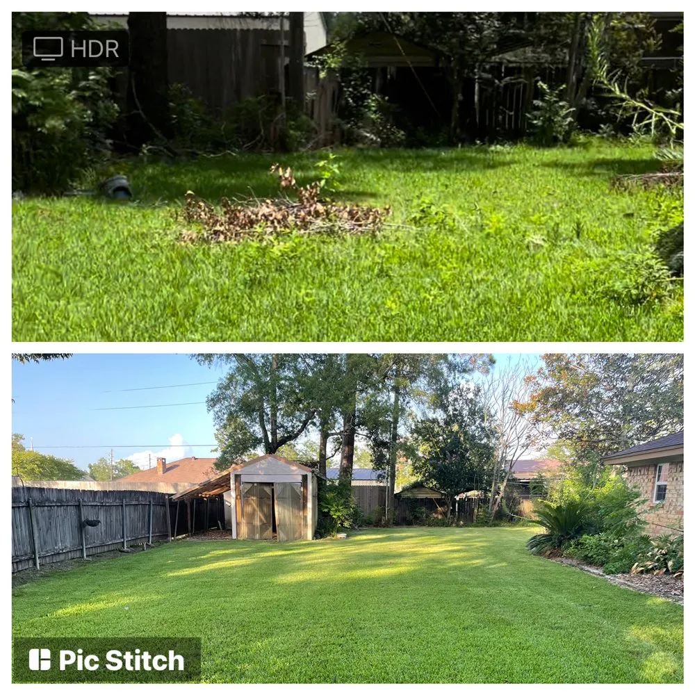 Professional residential landscaping in Orange, TX by Grass monkey lawn care and landscaping