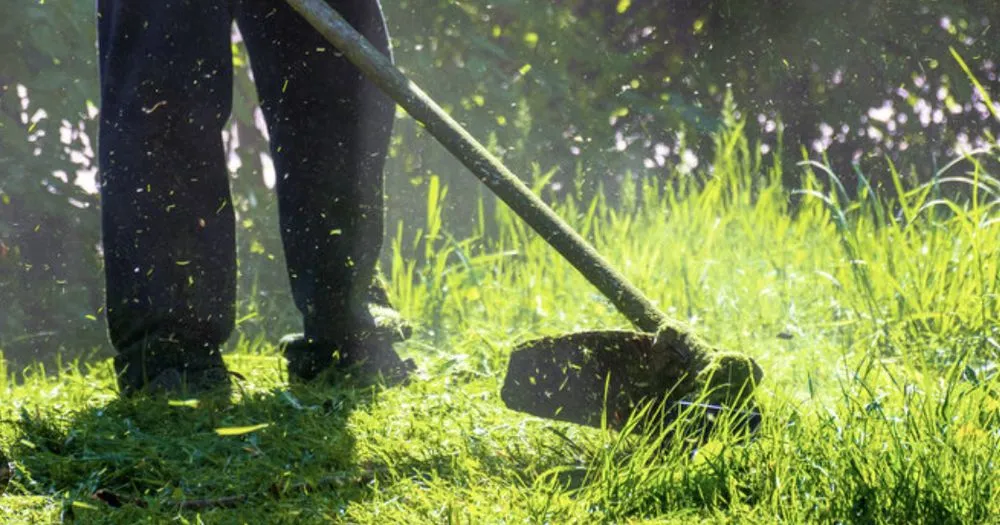 Professional lawn care service in Travelers Rest, SC by Grass Monkey Lawn Care and More