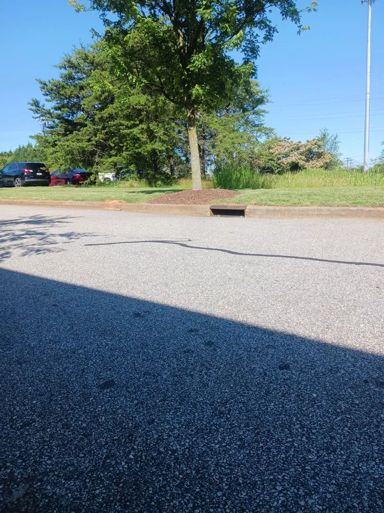 Professional landscape installation in Travelers Rest, SC by Grass Monkey Lawn Care and More