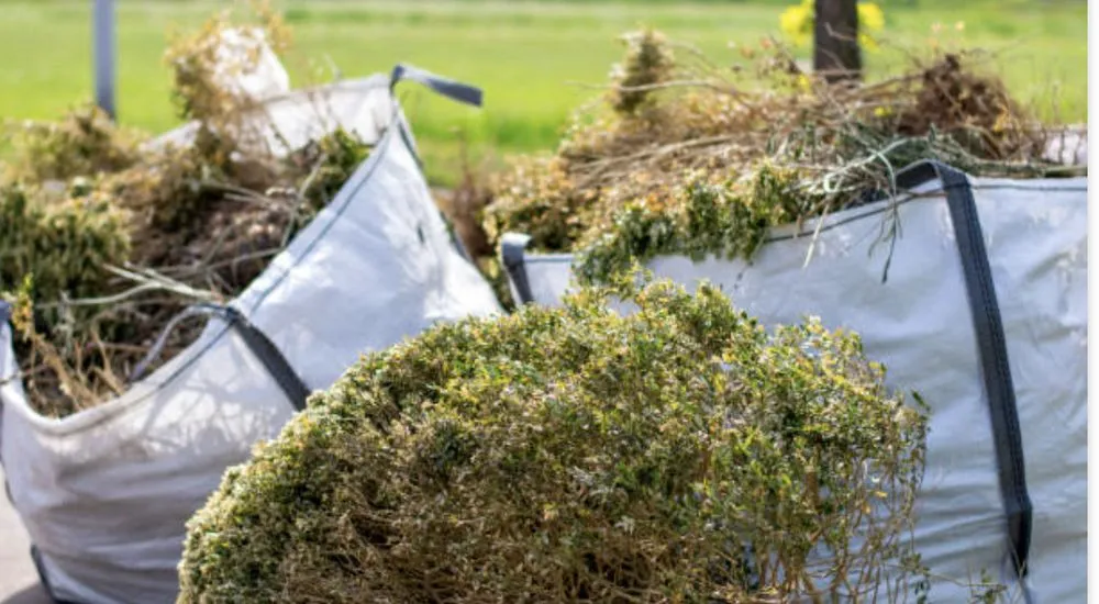 Expert landscaping services in Travelers Rest, SC by Grass Monkey Lawn Care and More