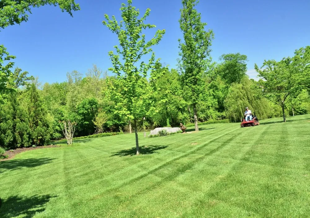 Reliable residential landscaping in Travelers Rest, SC by Grass Monkey Lawn Care and More