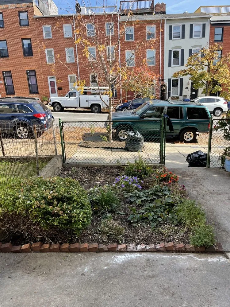 Reliable landscaping services for beautiful yards in Baltimore, MD by Grass Monkey Lawn Care