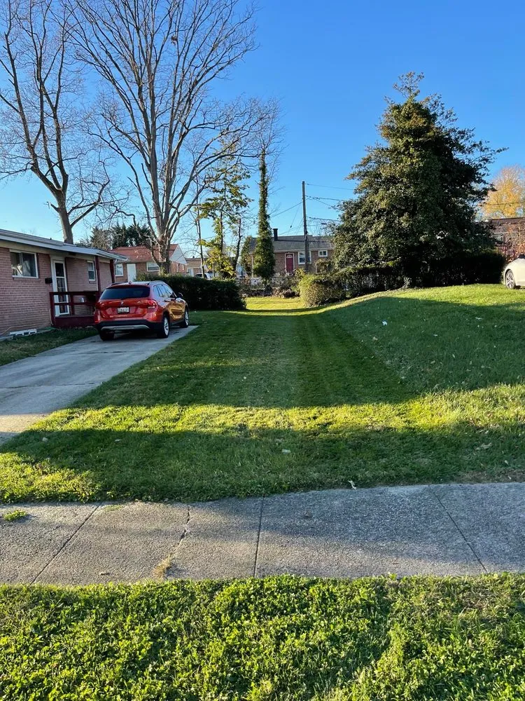 Top-rated yard maintenance experts serving Baltimore, MD - Grass Monkey Lawn Care