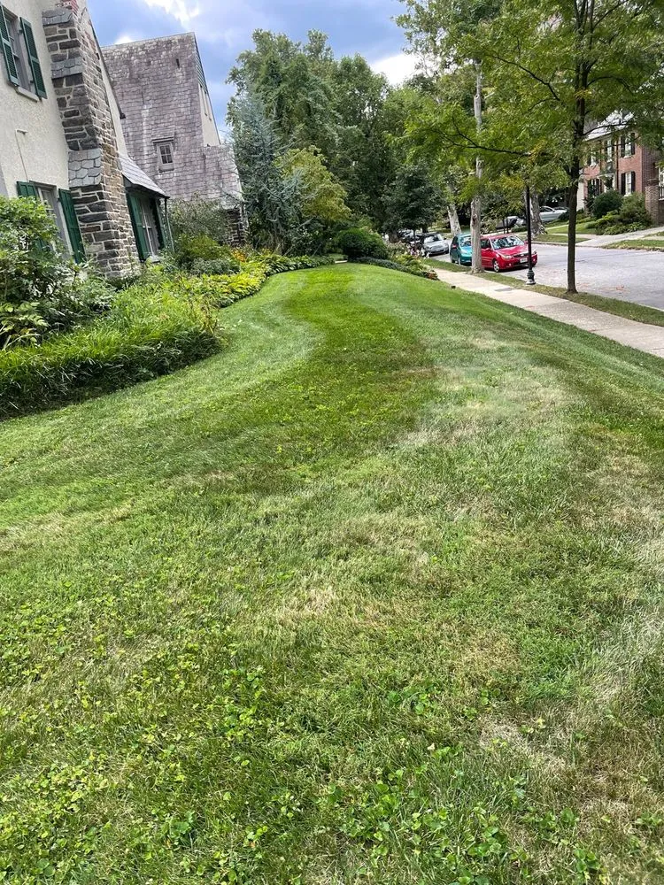 Reliable residential landscaping in Baltimore, MD - Grass Monkey Lawn Care