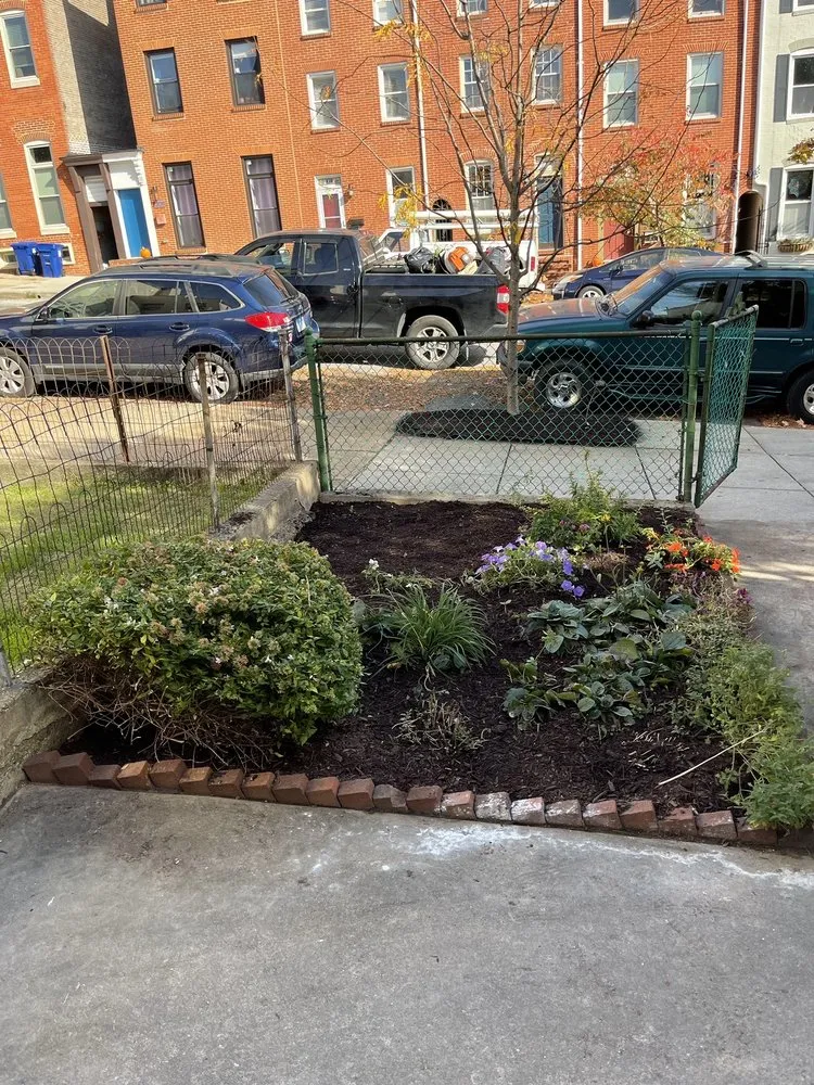 Top-rated yard maintenance in Baltimore, MD by Grass Monkey Lawn Care