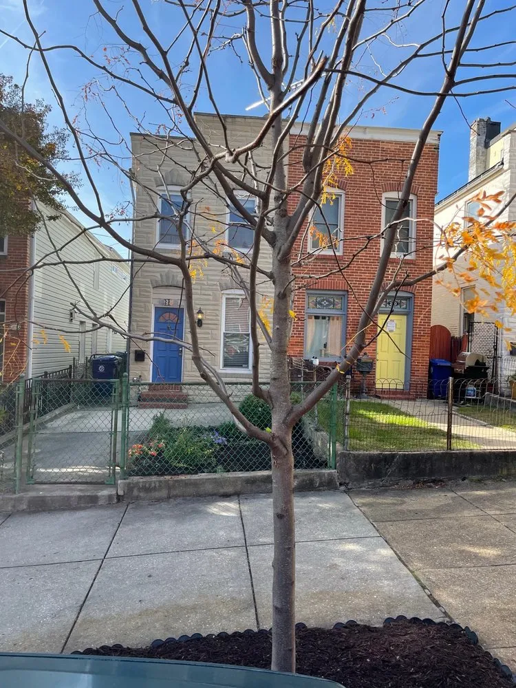 Affordable yard maintenance in Baltimore, MD - Grass Monkey Lawn Care