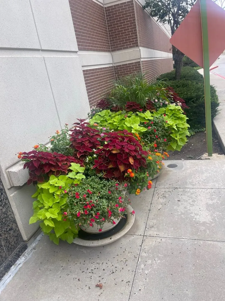 Affordable garden landscaping in Baltimore, MD - Grass Monkey Lawn Care