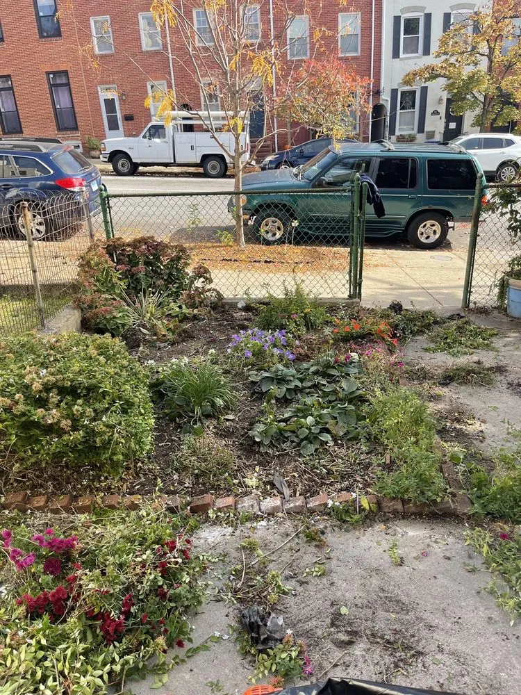 Trusted yard cleanup service in Baltimore, MD - Grass Monkey Lawn Care