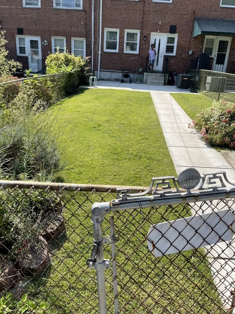 Trusted yard maintenance in Baltimore, MD - Grass Monkey Lawn Care