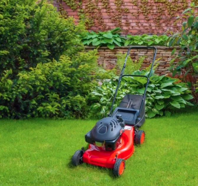 Custom yard cleanup service for homes in Grand Prairie, TX by Grass Monkey Lawn Care