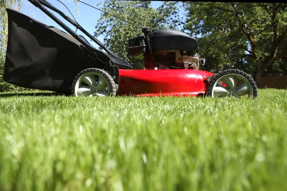 Local lawn mowing service in Grand Prairie, TX - Grass Monkey Lawn Care