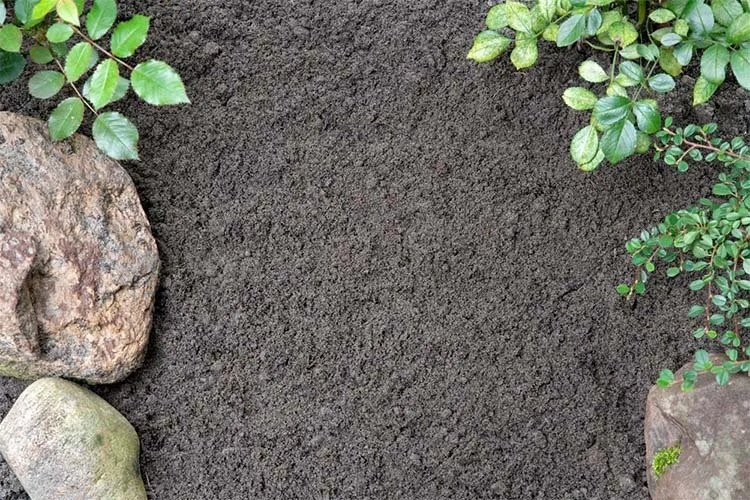 Custom residential landscaping in Grand Prairie, TX - Grass Monkey Lawn Care