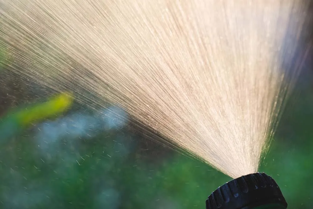 Custom outdoor landscaping for beautiful yards across Grand Prairie, TX - Grass Monkey Lawn Care