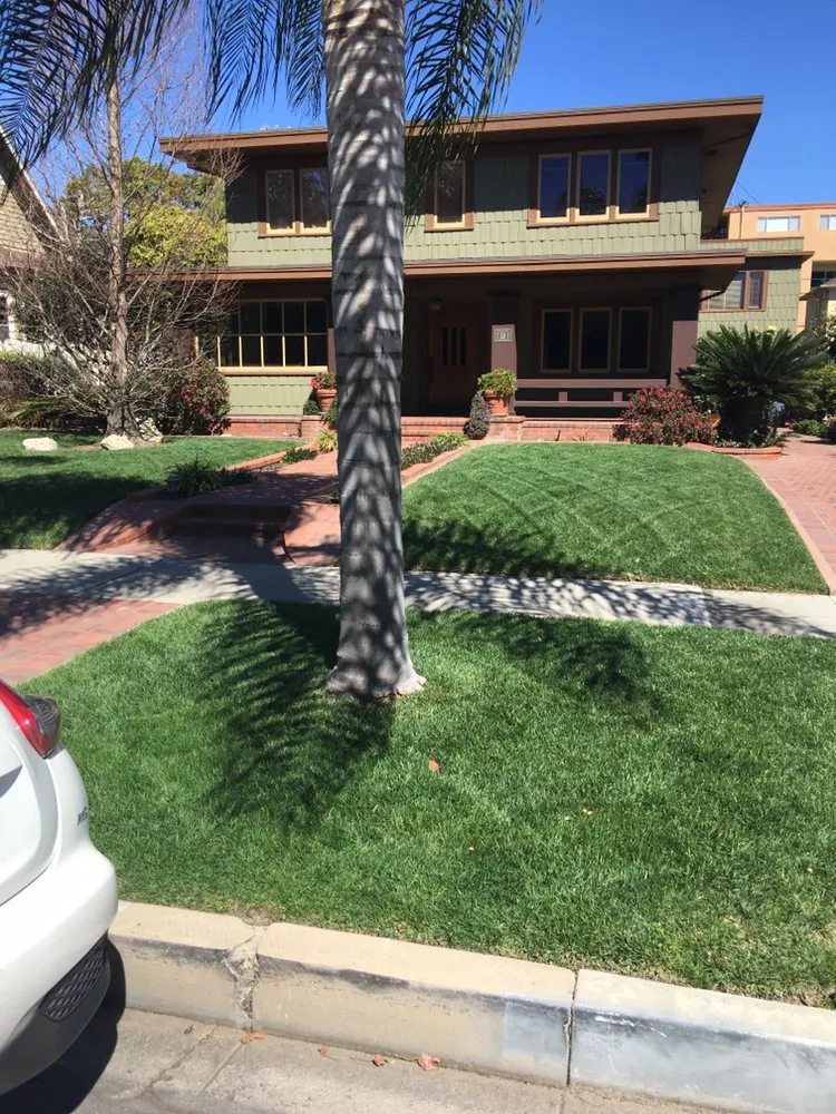 Professional yard maintenance experts serving Long Beach, CA - Grass Monkey Lawn Service