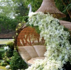 Local lawn care service with custom design across Houston, TX - Grass Monkey Services