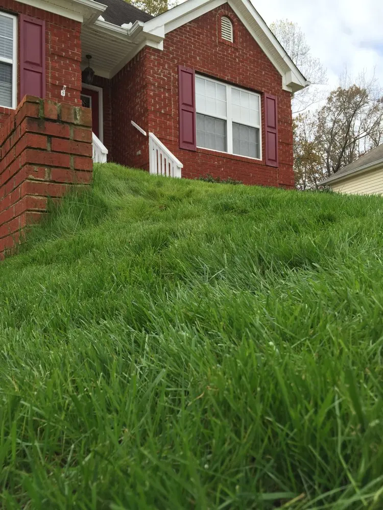 Custom outdoor landscaping for beautiful yards across Chattanooga, TN - Grass Monkey's