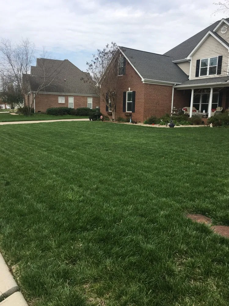 Trusted landscaping services in Chattanooga, TN - Grass Monkey's