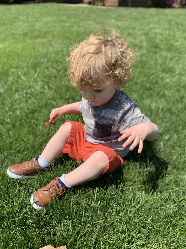 Trusted yard cleanup service in Chattanooga, TN by Grass Monkey's