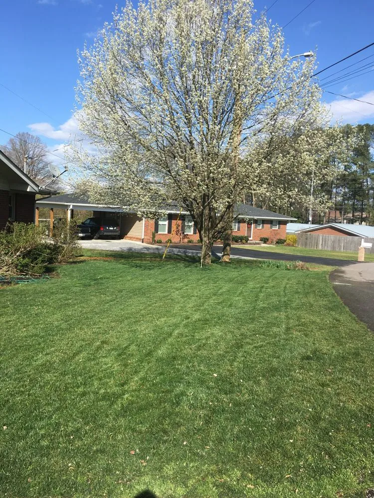 Trusted landscaping services in Chattanooga, TN - Grass Monkey's