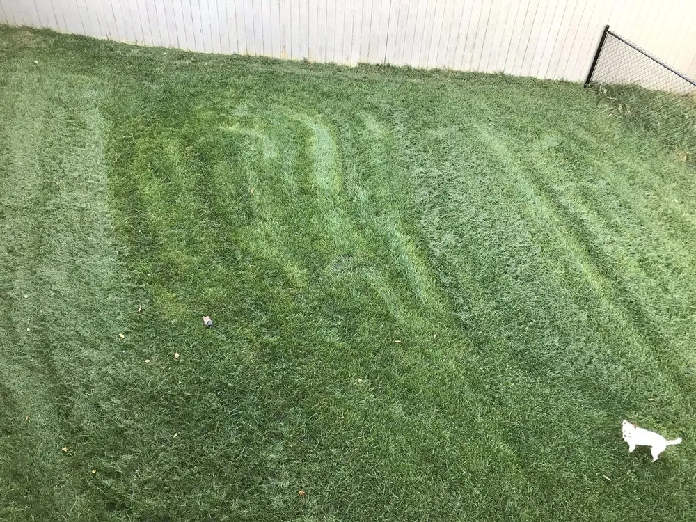 Trusted lawn mowing service in Chattanooga, TN by Grass Monkey's