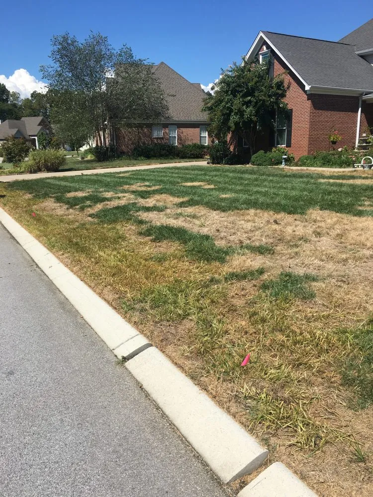 Local outdoor landscaping for homes across Chattanooga, TN - Grass Monkey's