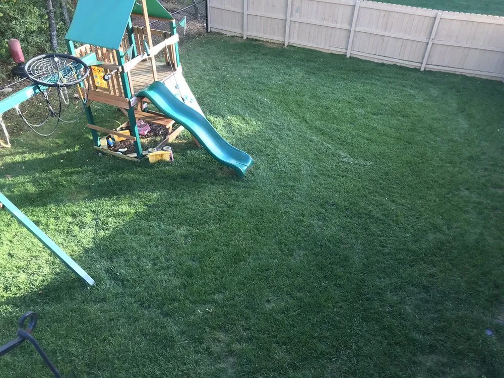 Top-rated landscape installation in Chattanooga, TN by Grass Monkey's