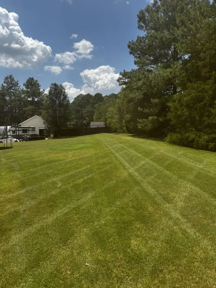 Top-rated residential landscaping experts serving New Market, AL - Grass Monkeys Lawn Care