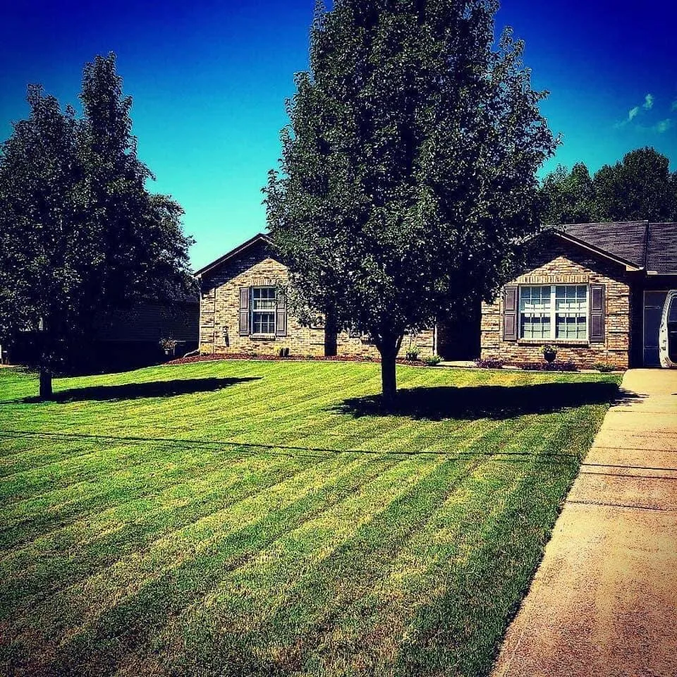 Top-rated lawn care service in New Market, AL - Grass Monkeys Lawn Care