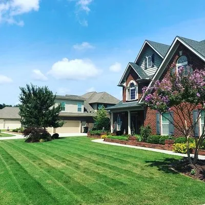 Grass Monkeys Lawn Care Logo