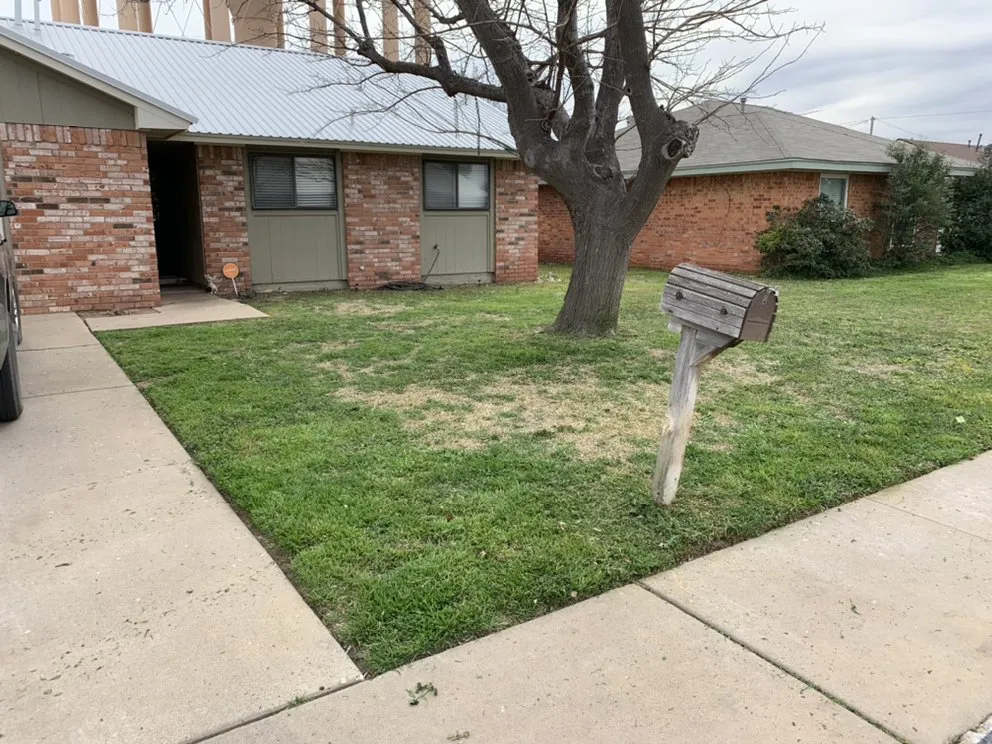 Local outdoor landscaping for beautiful yards across Odessa, TX - Grass Monkey’s Lawn Care