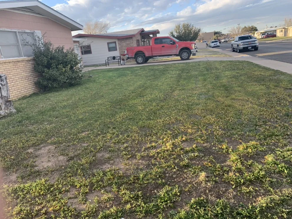 Trusted landscape design in Odessa, TX by Grass Monkey’s Lawn Care