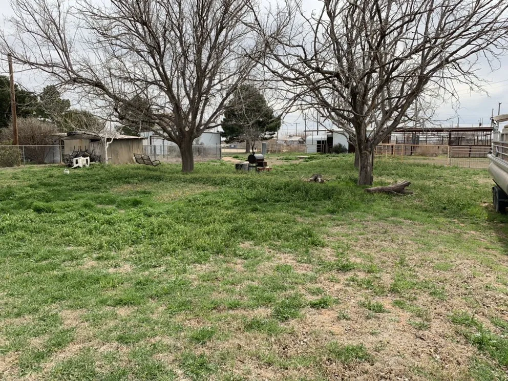 Trusted lawn care service experts serving Odessa, TX - Grass Monkey’s Lawn Care