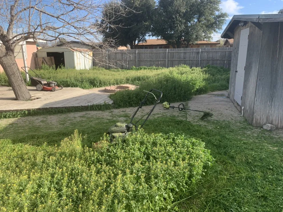 Reliable lawn mowing service for homes in Odessa, TX by Grass Monkey’s Lawn Care