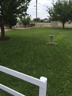 Expert landscaping services experts serving Amarillo, TX - Grass Monkeys Lawn Service