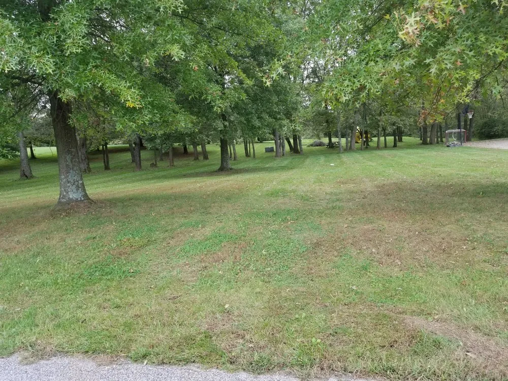 Local landscaping services in Sadieville, KY by Grass Monkeys