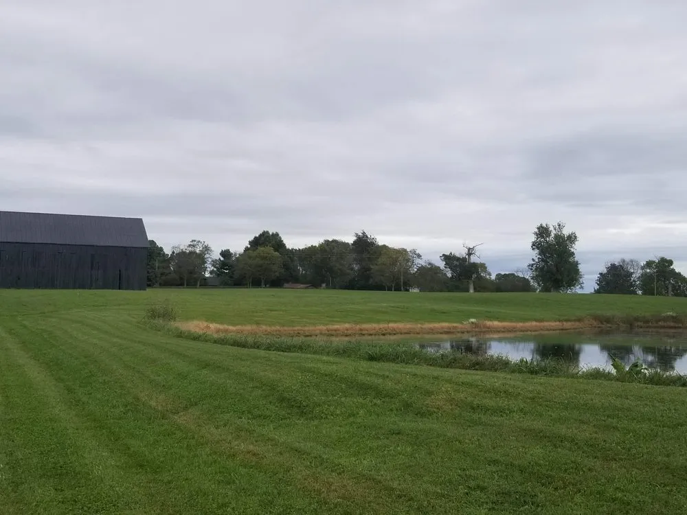 Reliable lawn mowing service experts serving Sadieville, KY - Grass Monkeys