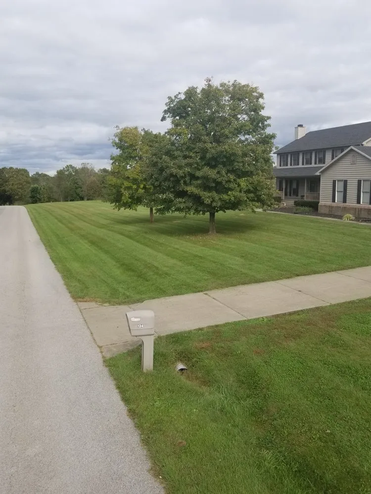 Top-rated landscape installation with custom design in Sadieville, KY by Grass Monkeys