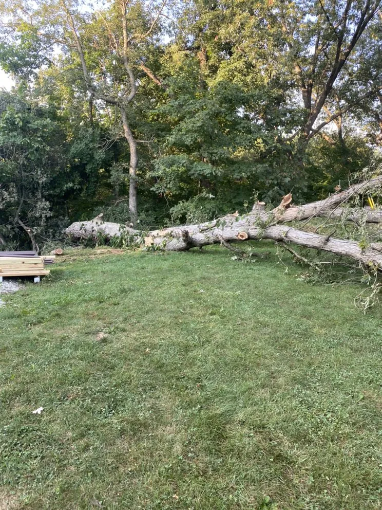 Professional garden landscaping in Geneseo, IL - Grass Monkeys Tree And Lawn Care