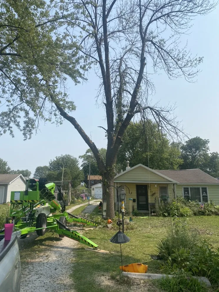 Affordable landscaping services in Geneseo, IL - Grass Monkeys Tree And Lawn Care