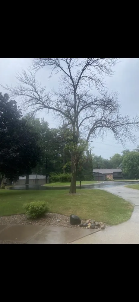 Custom outdoor landscaping for residential properties across Geneseo, IL - Grass Monkeys Tree And Lawn Care