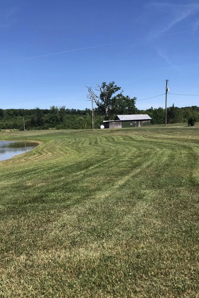 Affordable lawn care service experts serving Altavista, VA - Grass Monsters